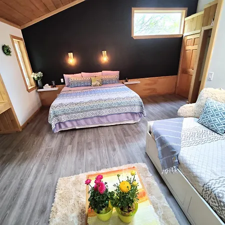 Hummingbird B&B-3